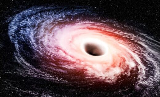 Black Hole Galaxy