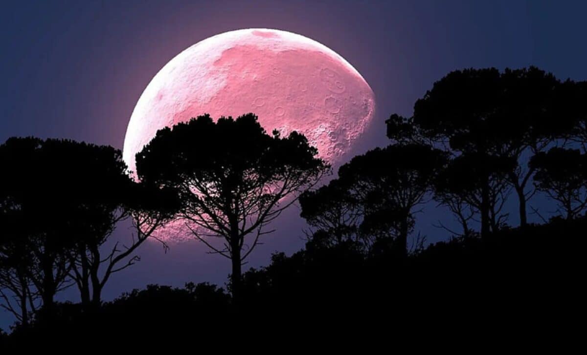 Don't Miss This Week's Spectacular Strawberry Moon A Celestial Delight